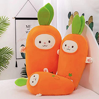 Carrot���x